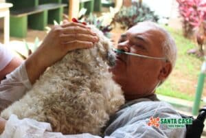santacasatrespontas visita cachorro 2