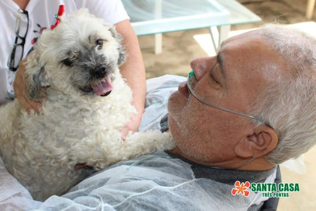 santacasatrespontas visita cachorro 3